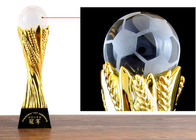 Tasse faite sur commande de trophée de résine avec de la boule de cristal pour l'extrémité du football - récompense d'année